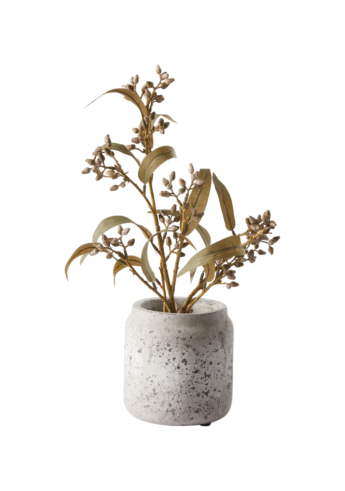 Grøn plante i grå betonkrukke, fritlagt på hvid baggrund.