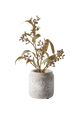 Grøn plante i grå betonkrukke, fritlagt på hvid baggrund.