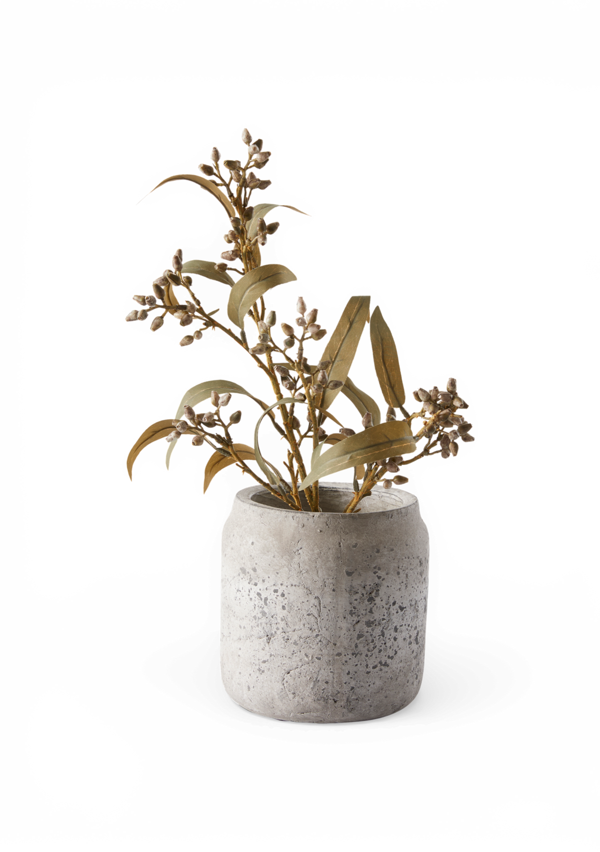 Grøn plante med knopper i rund grå betonkrukke.