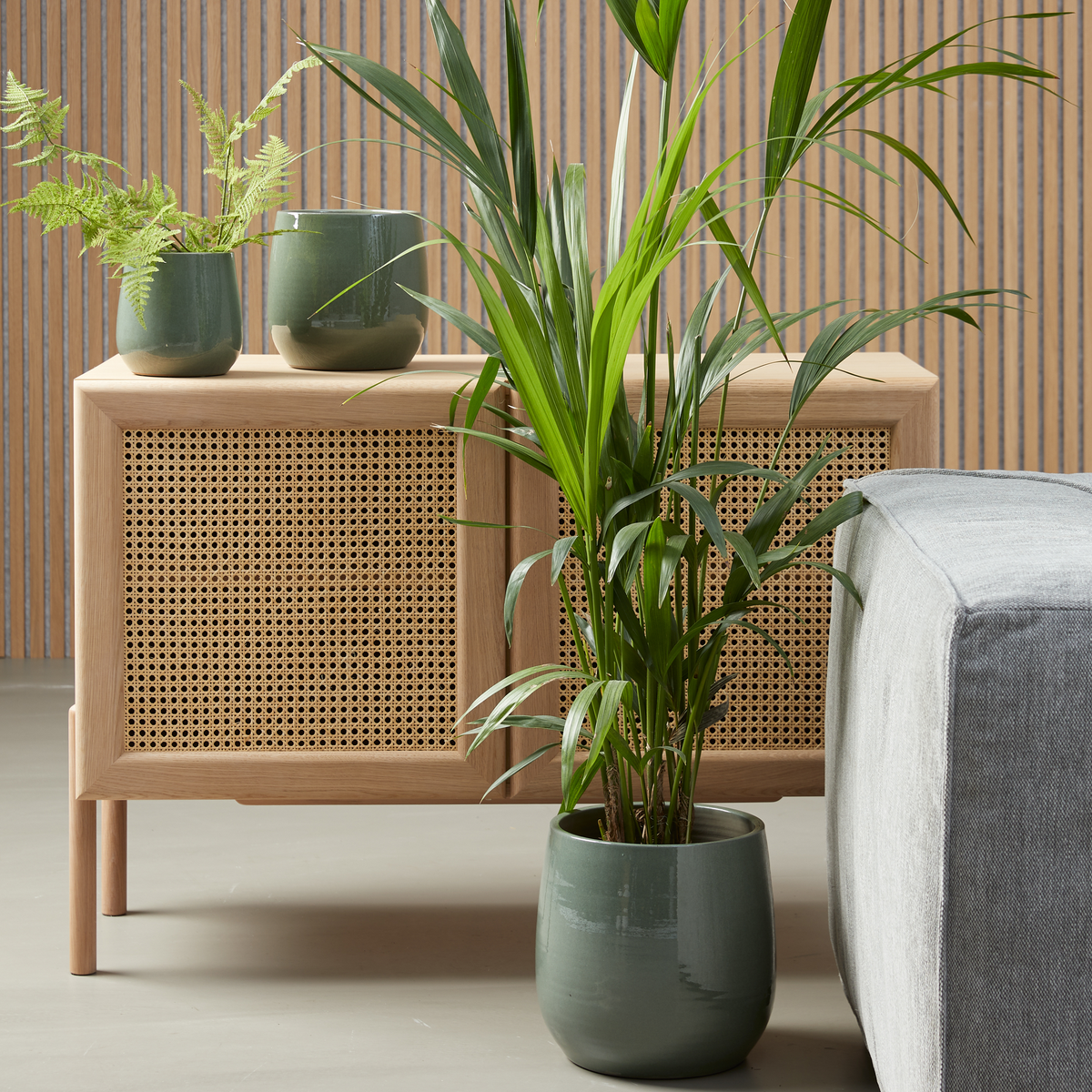 Skænk i lyst træ med rattanlåger, grønne urtepotter med planter og en grå sofa foran en lamelvæg.