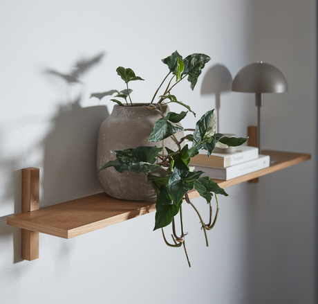 Vægmonteret træhylde med potteplante, bøger og lille bordlampe i blødt dagslys.