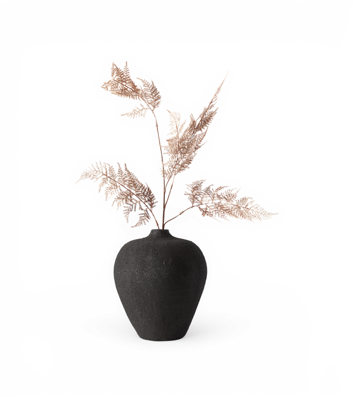 Sort, tekstureret vase med lyserosa tørrede bregnegrene, frilagt på hvid baggrund.