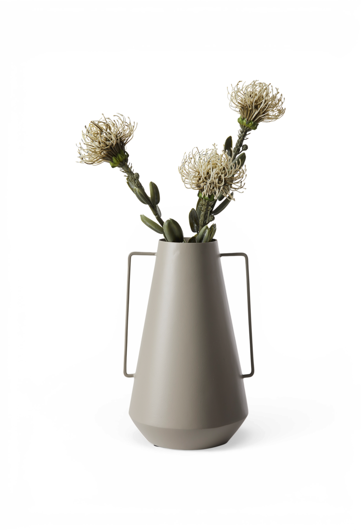 Beige konisk vase med håndtag, fyldt med grønne stængler og lyse cremefarvede blomster på hvid baggrund.