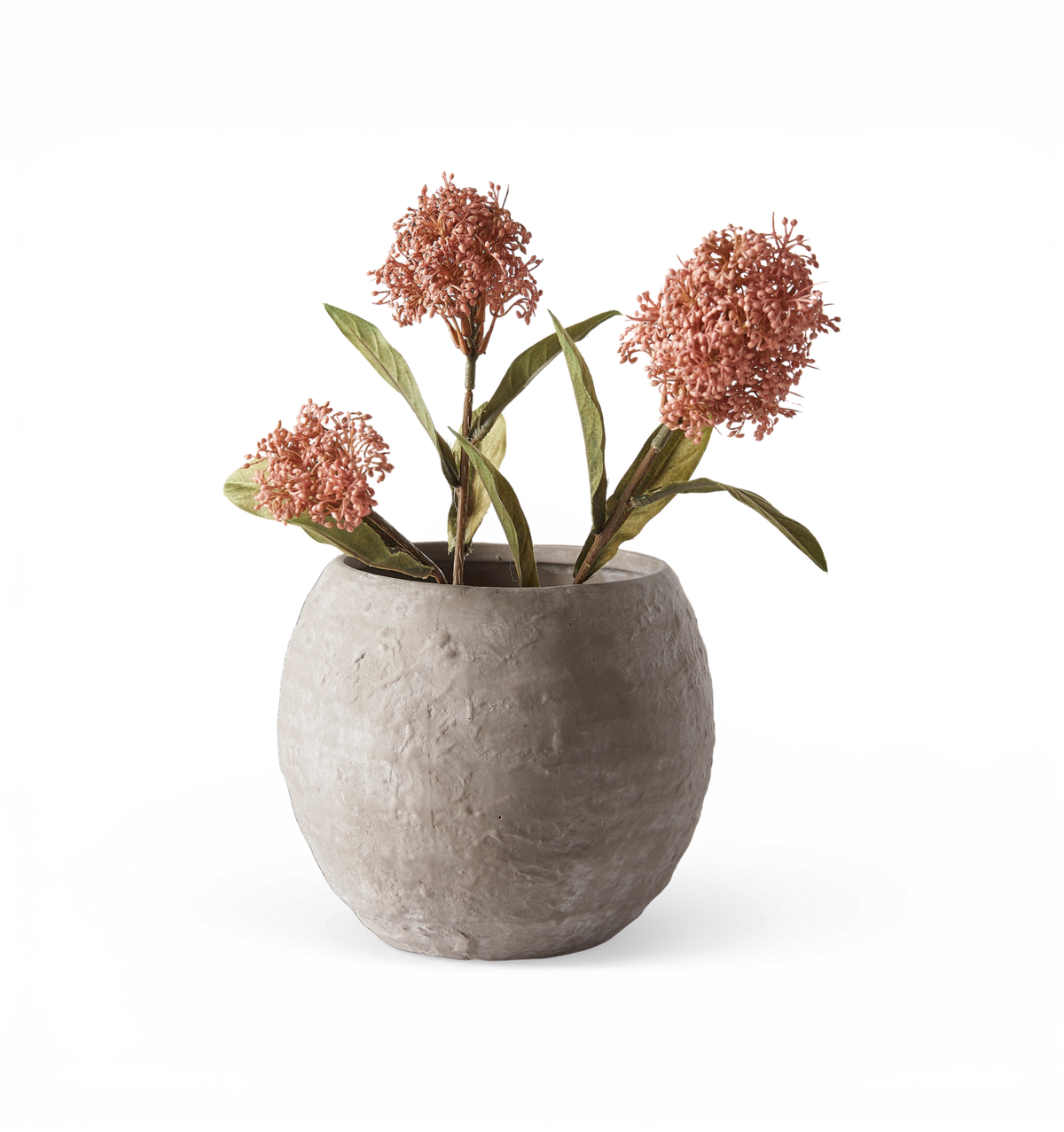 Rund cementkrukke med lyserøde blomster og grønne blade, frilagt på hvid baggrund.