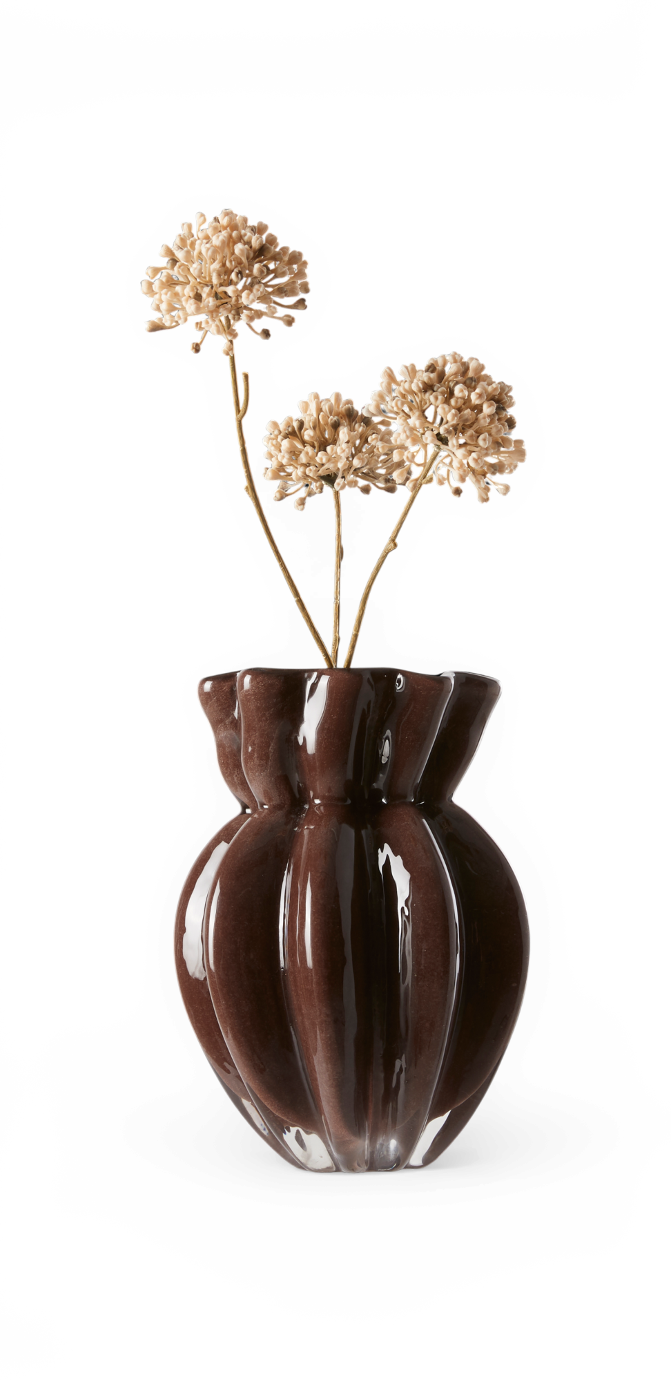 Blank mørkebrun skulpturel keramikvase med beige tørrede blomster på sort baggrund.