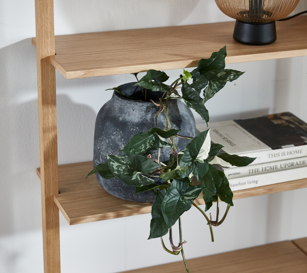 Lyst egetræshylde med en grå rustik vase med hængende grøn klatreplante ved siden af en stak bøger med titlerne THIS IS HOME, THE HOME UPGRADE og barefoot living; øverst ses en bordlampe delvist.
