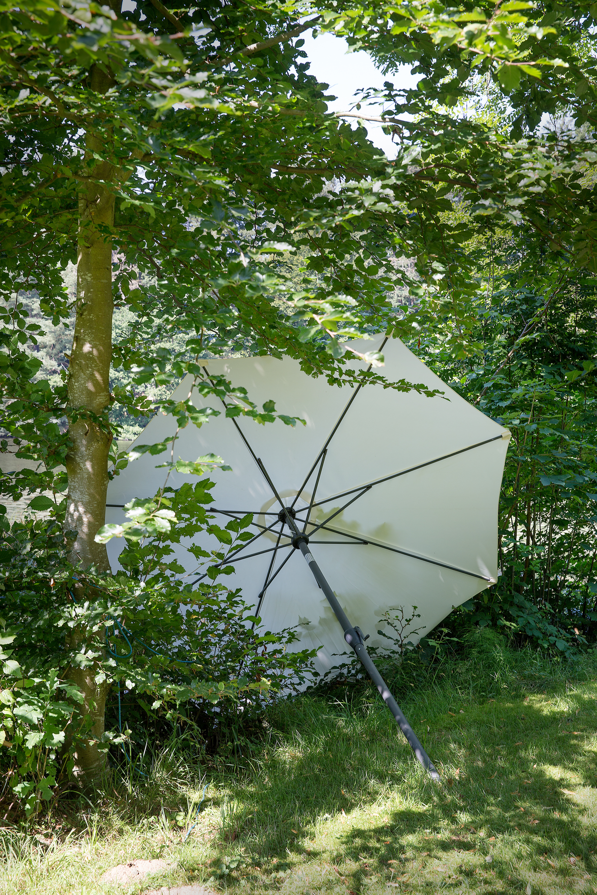 Hvid haveparasol, der hælder ind i buske og træer på en solrig græsplæne.