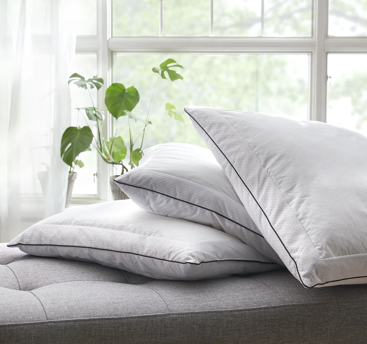 To hvide puder med sort piping stablet på en grå seng foran et lyst vindue med grønne planter.