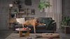 Hund i 16:9-video i loop