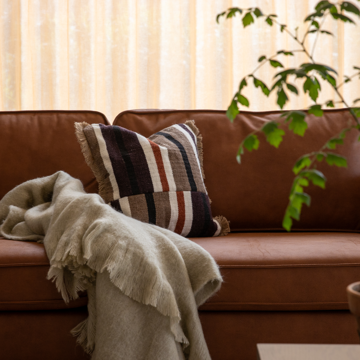 Nærbillede af en brun lædersofa med stribet pude med frynser og en beige plaid; en grøn plante og lyse, lette gardiner i baggrunden i varmt dagslys.