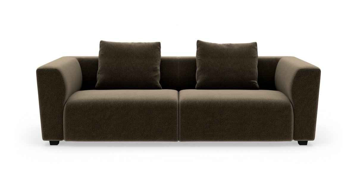 Brun 2-personers sofa med to rygpuder, frontvisning på hvid baggrund.
