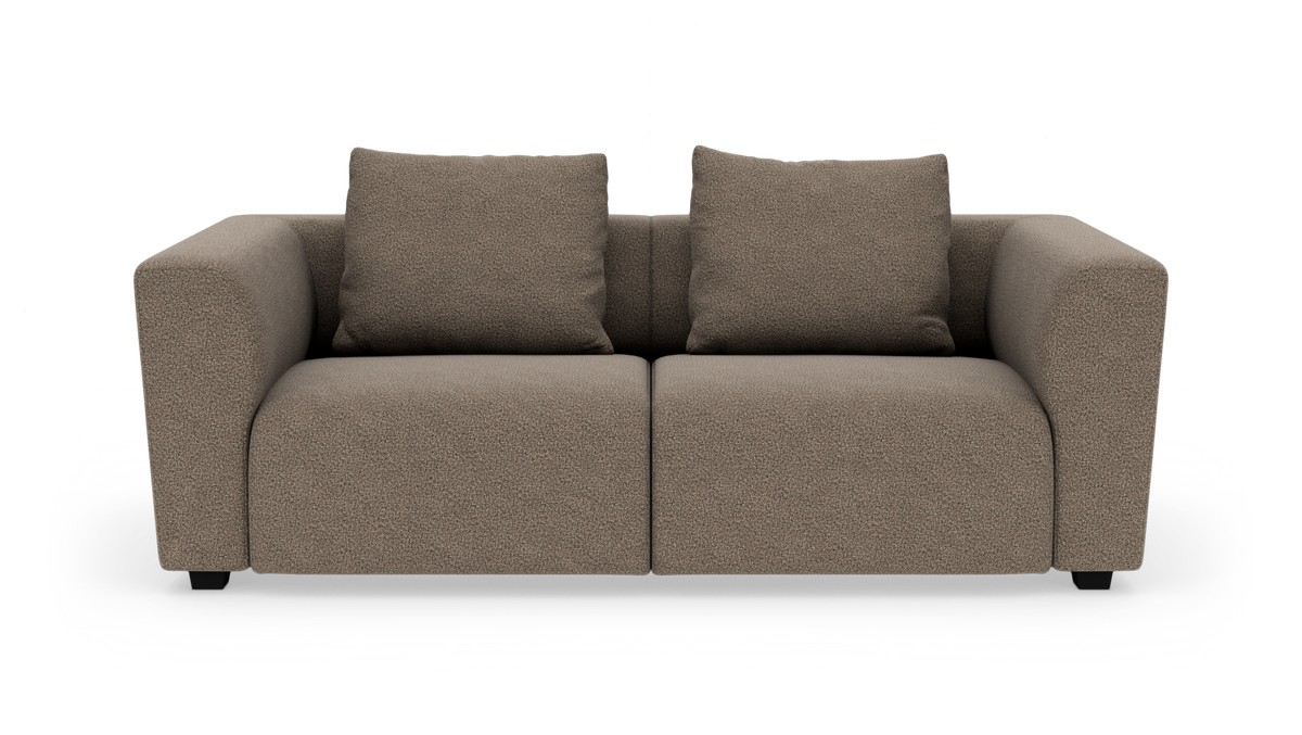 Brun 2-personers sofa med to rygpuder, frontvisning på hvid baggrund.
