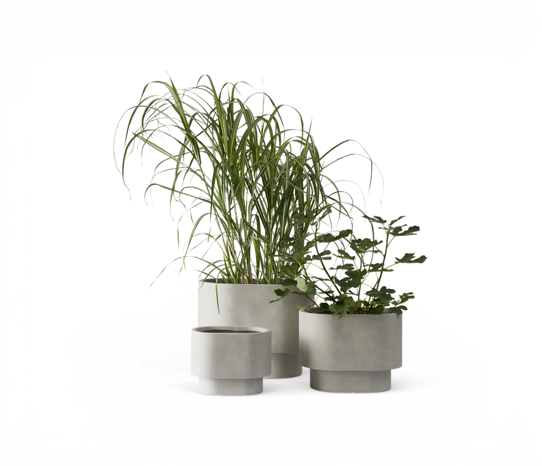 Tre minimalistiske grå betonpotter med grønne planter, frilagt mod sort baggrund.