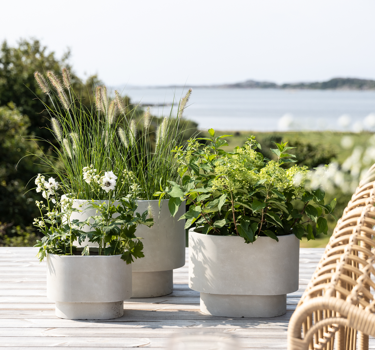 Tre lysegrå krukker med grønne planter på en træterrasse med havudsigt.