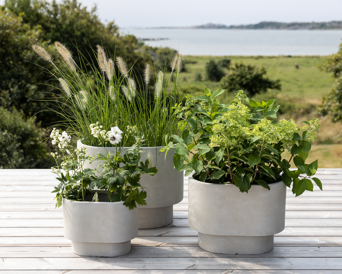 Tre lysegrå krukker med grønne planter og hvide blomster på en træterrasse med havudsigt.