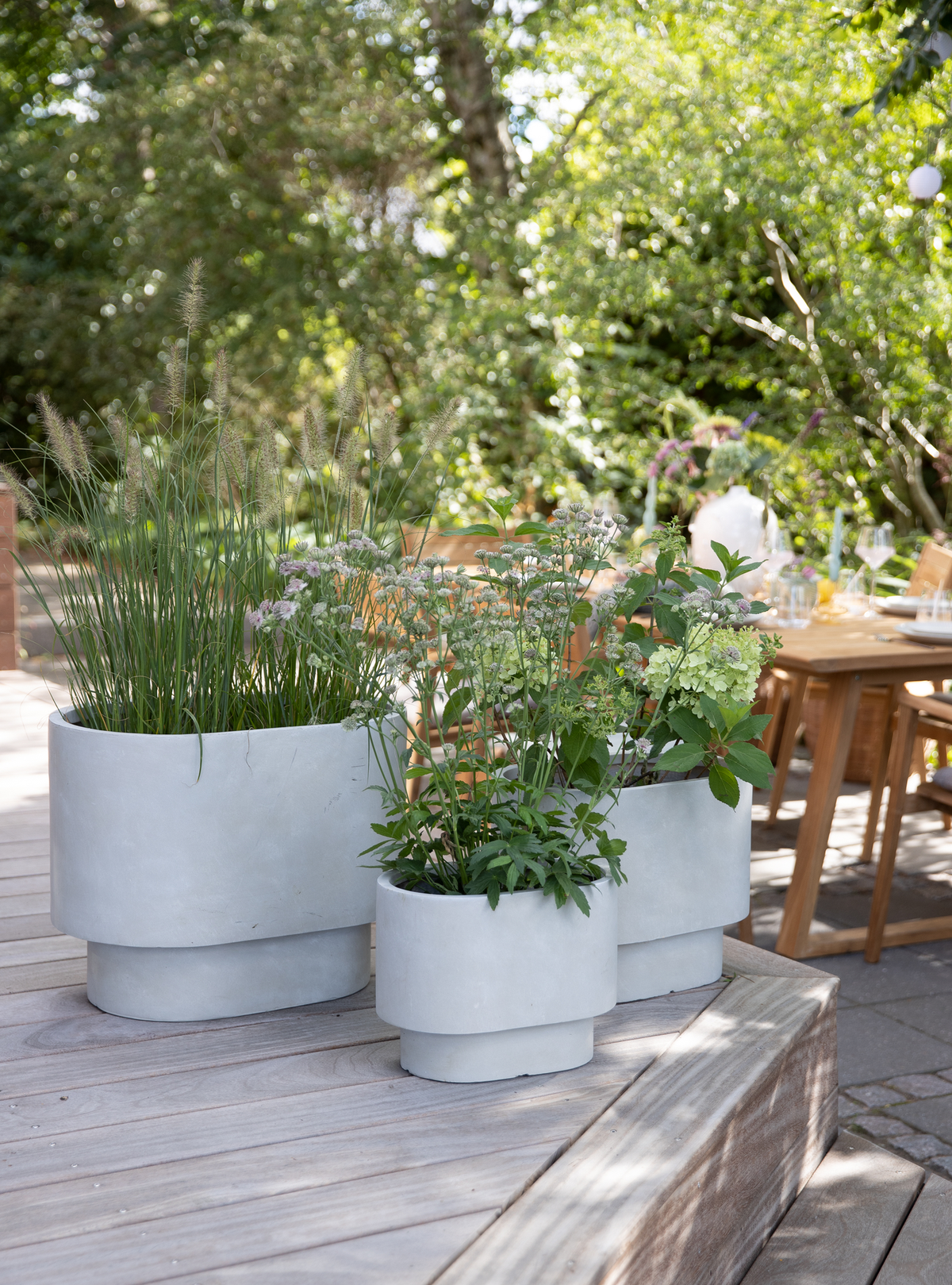 Tre lysegrå krukker med prydningsgræs og blomster på en træterrasse; dækket havebord i baggrunden.