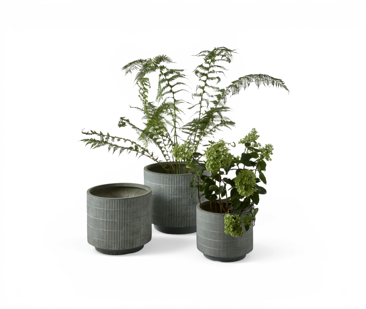 Tre grønne urtepotter med rillet mønster – to med grønne planter og én tom – fritlagt produktfoto.