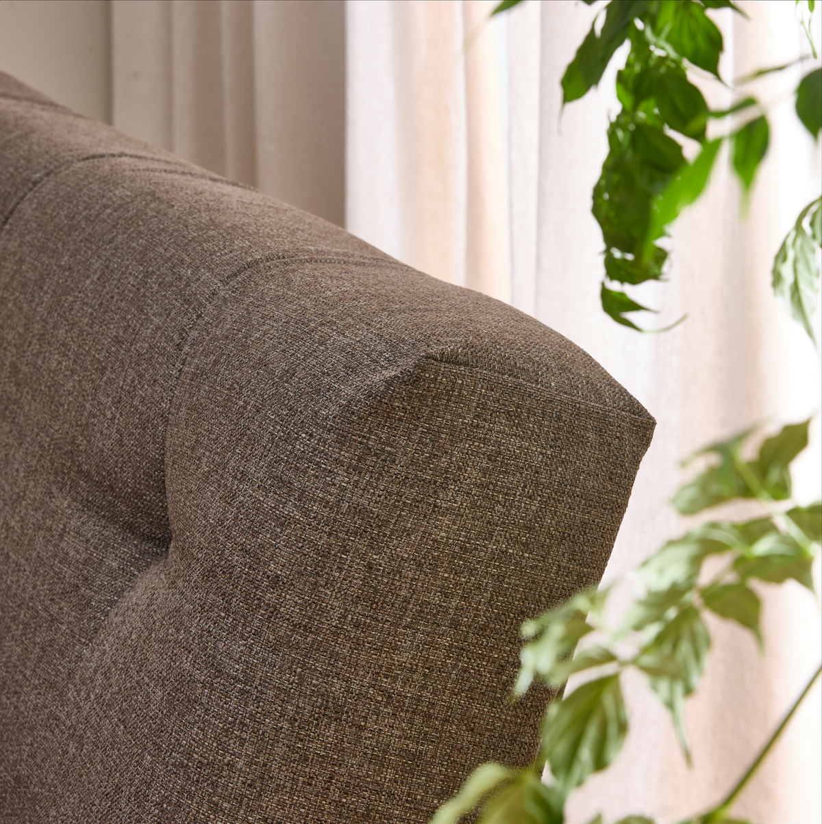 Nærbillede af brun stofsofas armlæn med diskret tufting, grøn plante og lyse gardiner i baggrunden.